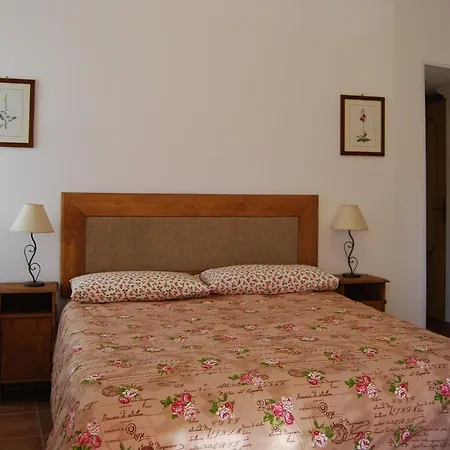 Domo Mea Oda ve Kahvaltı Nuoro (Sardinia)